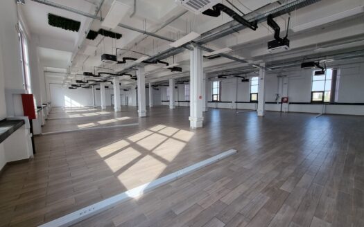 Spațiu de birouri de închiriat lângă Silk District, Iași (ID 23146)